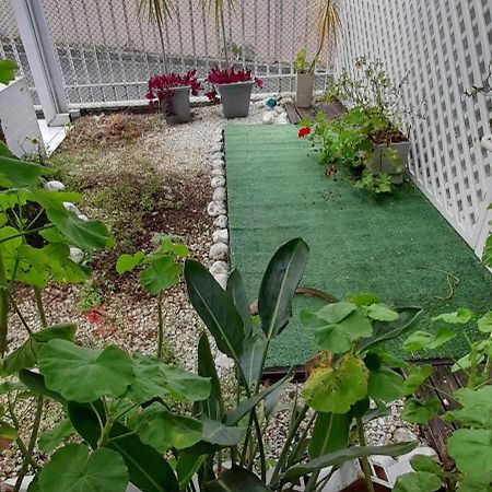 Casa Inteira 2 Dorm Minimo 3 Dias Villa Curitiba Eksteriør bilde